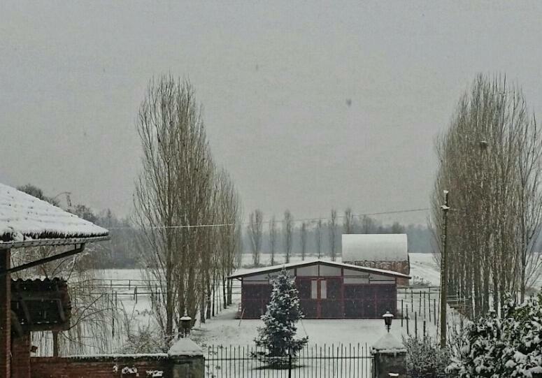 Az.Agr.Cascina Moretta Momo Exterior foto